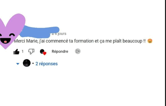 avis client