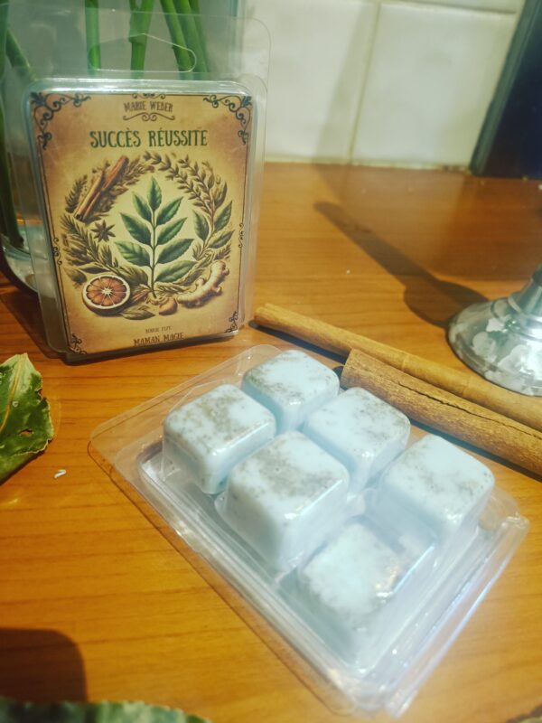 fondants