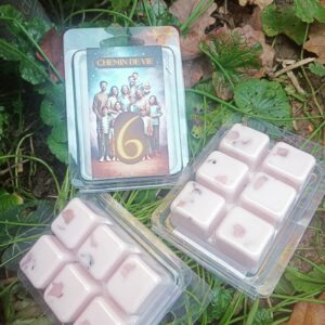 fondant chemin de vie