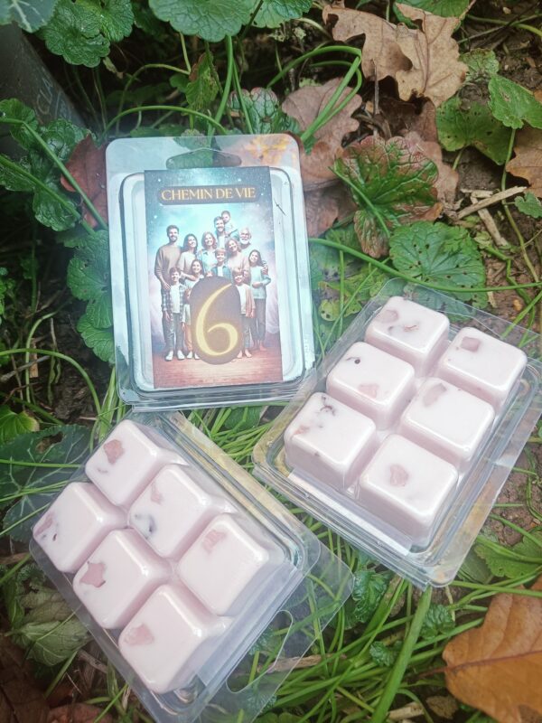 fondant chemin de vie